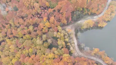 Turizm kenti Düzce'nin yeni rotası Korugöl'de fotosafari yapılıyor