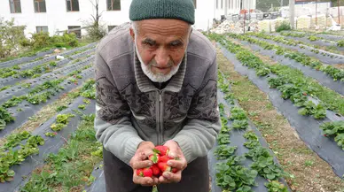 'Bedava dede': Bahçesindeki her şeyi ücretsiz dağıtıyor