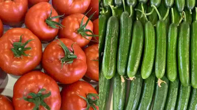 Gıda fiyatları el yakıyor: En bol olduğu dönemde domates ve salatalık rekor kırdı