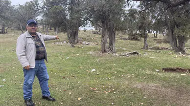 İnanılmaz ama gerçek: Bu ormana asırlardır balta girmedi