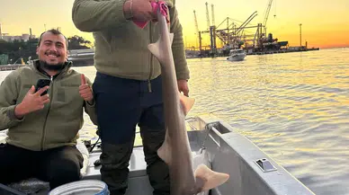 Şanslarına köpek bağı geldi: Oltada gördüklerinde şaşırdılar