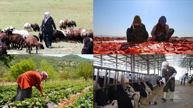 Konyalı üreticileri de ilgilendiriyor: Aile işletmelerine yeni teşvikler geliyor