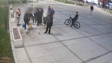 Yediği çekirdek kabuklarını tek tek toplattılar: Belediye'den ilgniç uygulama