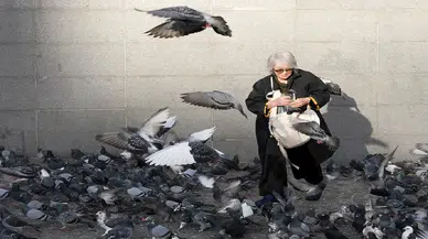 Gönüllü güvercin doktoru: Hasta ve sakat güvercinlere şifa oluyor