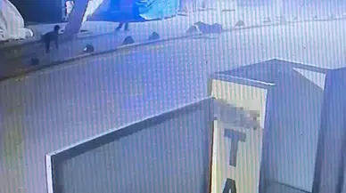 Köpeği tabancayla vurdu: Emekli astsubay köpeğin kendine saldırdığını iddia etti