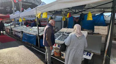 Hamsi Türkiye'ye palamut Gürcistan'a kaçtı: Balık tezgahlarında bayram var