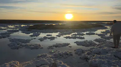 Konya'da görülmemiş manzara: Papatya şeklindeki tuzlar viral oldu