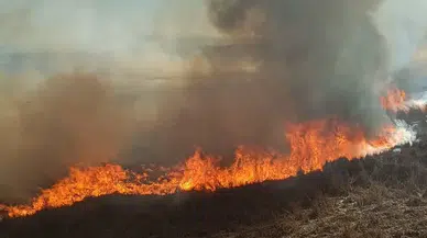 Konya'yı önce kuraklık sonra yangın vurdu: Beyşehir yanıyor