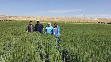 Binlerce Konyalı çiftçi için yeni dönem: 2026'da sistem tamamen değişiyor