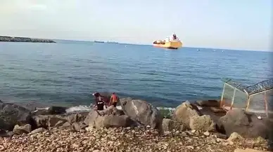 Gözlerine inanamadılar: Balıkçı ağına Angus takıldı