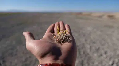 Konya'da kuraklıktan daha büyük tehlike: Afete dönüşürse büyük risk