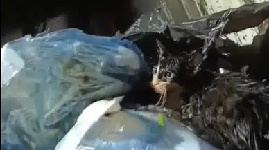 Temizlik işçilerinin dikkati hayat kurtardı: Poşetle çöpe atmışlar