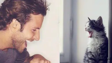Daha fazla miyavlıyorlar: Kediler derdini erkeklere anlatamıyor