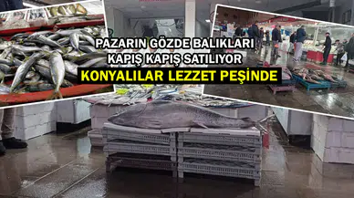 Konyalılar balıkta yeni lezzet peşinde: Orkinos, zargana ve kalkan…