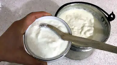 Yoğurdun suyu mu kaymağı mı: Şifa arayanlar tartışıyor