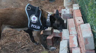 Konya'nın hassas burunları ‘Bulamazlar' zannedilen zulaları patlatıyor