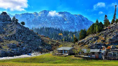 Konya'nın saklı cenneti: Ağaç Tepesi doğa resitali sunuyor