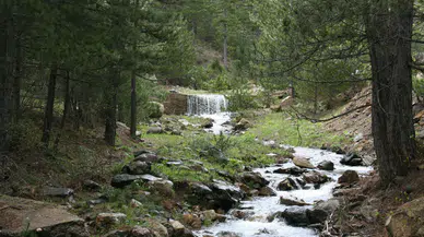 Konya'da kuruyan çeşmeler yeniden akmaya başladı: Anamas'a umut oldu