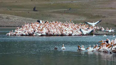 Konya'nın soğuk sularıyla meşhur barajı yenilenecek: Düğmeye basıldı
