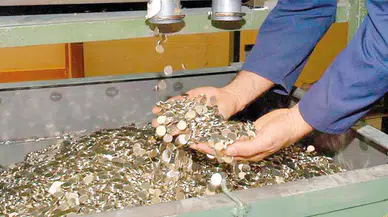 Bozuk para artık basılmıyor: 2 aydır 1 kuruş bile basılmadı