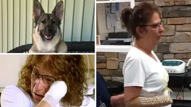 Evinde kedi ve köpek besleyenler dikkat: Genç kadının kol ve bacaklarını kestiler