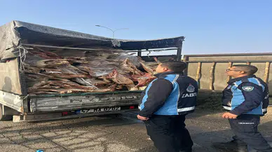 Sürücü bakın kendini nasıl savundu: Mide bulandıran görüntü