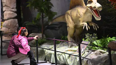 Dinozorlar Anadolu'da yaşadı mı: Dinozor fosillerinin ilginç arkeolojisi