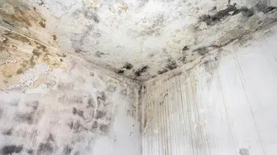 Banyolardaki ölümcül tehlike: Uzmanından uyarı