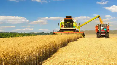 Gıda krizi: Konya'da tarımsal üretimi canlandırmak için üçlü senaryo
