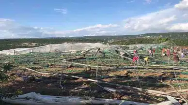 Yıktı geçti: Hortum nedeniyle seralar hasar gördü