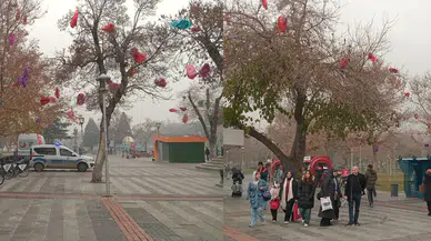 Konya'nın merkezinde dikkat çeken fotoğraflar: Dilek ağacı mı var?