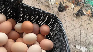 Fırsatçılar okulların açılmasını bekliyor: Vatandaş tedbir alınmasını istedi
