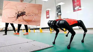 Hong Kong, chikungunya ile mücadele için robot köpekleri devreye alacak