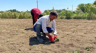 Konya'nın komşu ilinde artık kuyudan da su çıkmıyor
