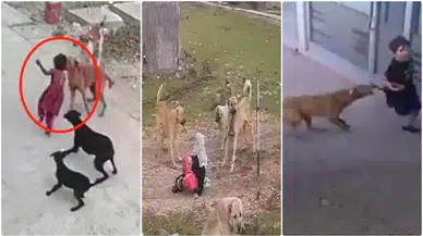 Okullar açılacak vatandaş tedirgin: Belediyeler yasayı uygulamıyor