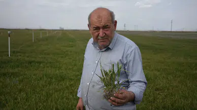 Üretici dert küpü: Konya'nın stratejik tarım ürünlerinde üretim ve ihracat riski