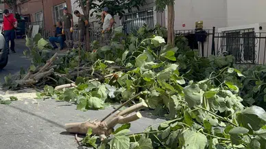 İstanbul'u fırtına vurdu: Akşam etkisini artıracak, dışarı çıkmayın uyarısı