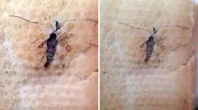 Ekmeğin içinden çıkan "Bu kadar da olmaz" dedirtti