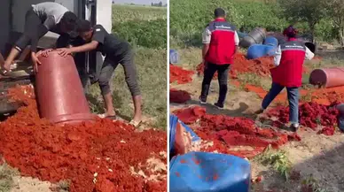 Dar gelirlinin sofrasına gelecekken tonlarcası çöpe gitti