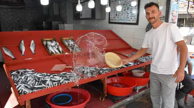 Bereket fiyatlara yansıdı: Kilosu 200 liradan kapışılıyor