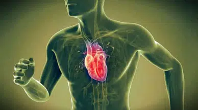 Soğuk havalar kalp krizi riskini arttırır mı? Bugün dünya kalp günü