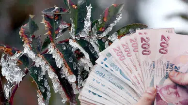 Konya çiftçisi bu ödemeyi bekliyor: Zirai don ücretleri ne zaman yatacak?