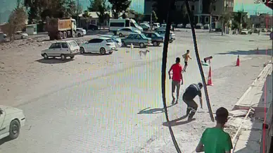 Sahipsiz köpek saldırısı: Çocuklar ölümden döndü