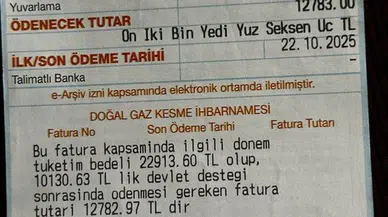 İki kişilik aileyi kara kara düşündüren doğalgaz faturası