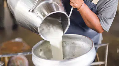 Süte zam: Çiğ süt artık o fiyata satılacak