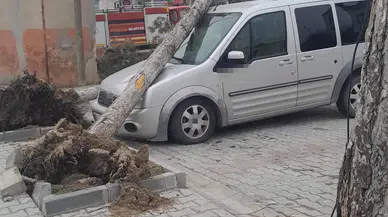 Konya'da fırtına çatıları uçurdu, ağaçları devirdi