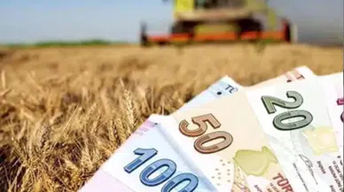 Tarımsal destek ödemeleri ne zaman yapılacak: Konyalı çiftçilere müjde