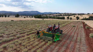 Konyalı çiftçiler 1 Milyar TL'ye yakın destek aldı: Kırsalda hayat var