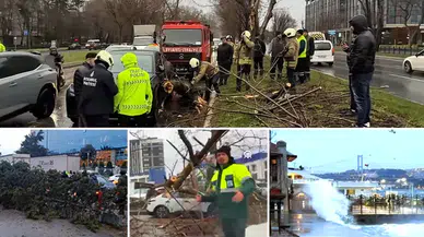 İstanbul'u lodos vurdu: Ağaçlar devrildi, dev dalgalar sahile vurdu
