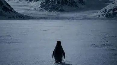 Belirsizliğe cesaretle adım attı: Nihilist Penguen olayı nedir?